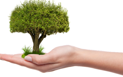 Au fondement de l’écologie intégrale