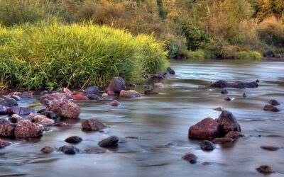 Sans eau, pas de Vie