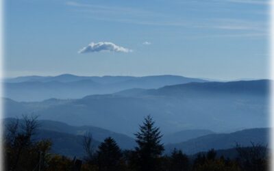 Monodiète accompagnée